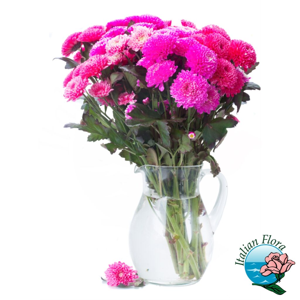 Federe Cuscino VOID Con Fiori Di Crisantemo, 40x40 Cm, Tessuto Oxford Idrorepellente, Per Esterno E Interno - 3